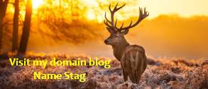 name stag banner